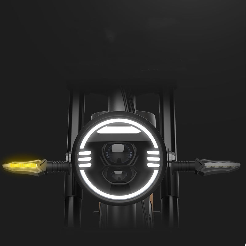 Elektrofahrrad mit 20 Zoll großen Reifen und siebenstufiger Getriebeunterstützung