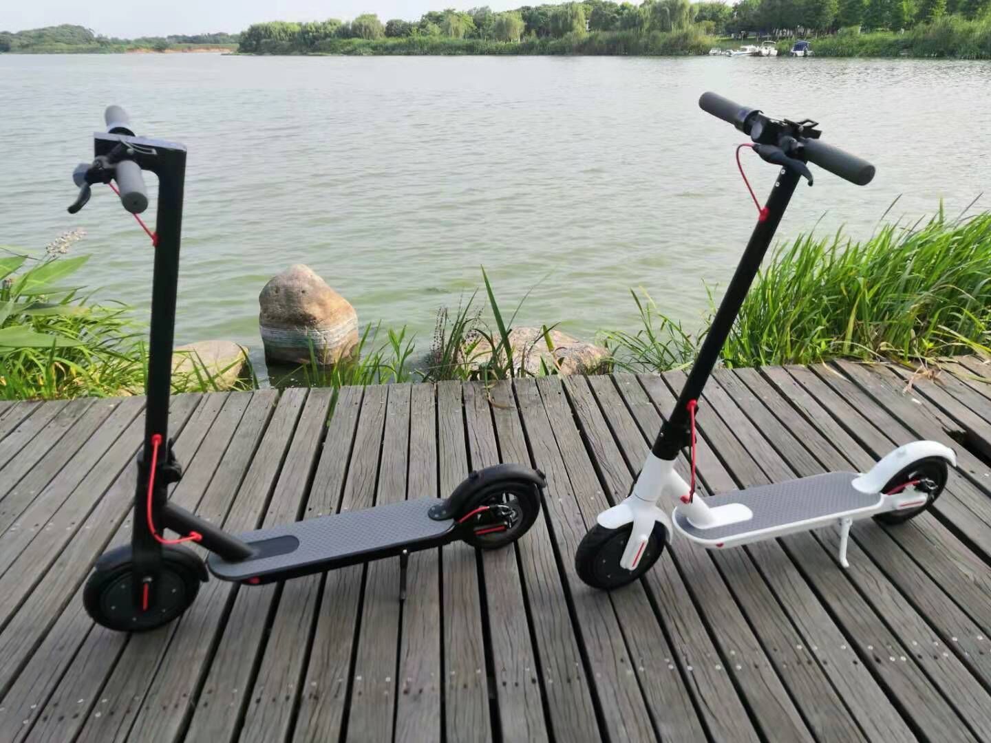 8.5 Inch Folding Aluminum Alloy Electric Scooter