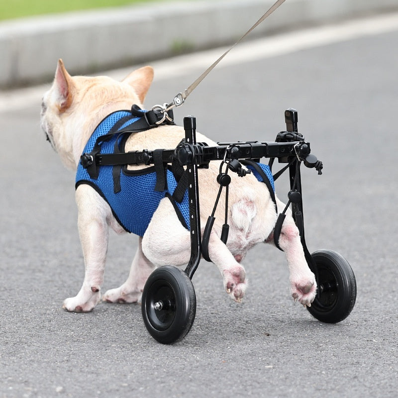 Rollstuhl-Scooter für behinderte Hunde