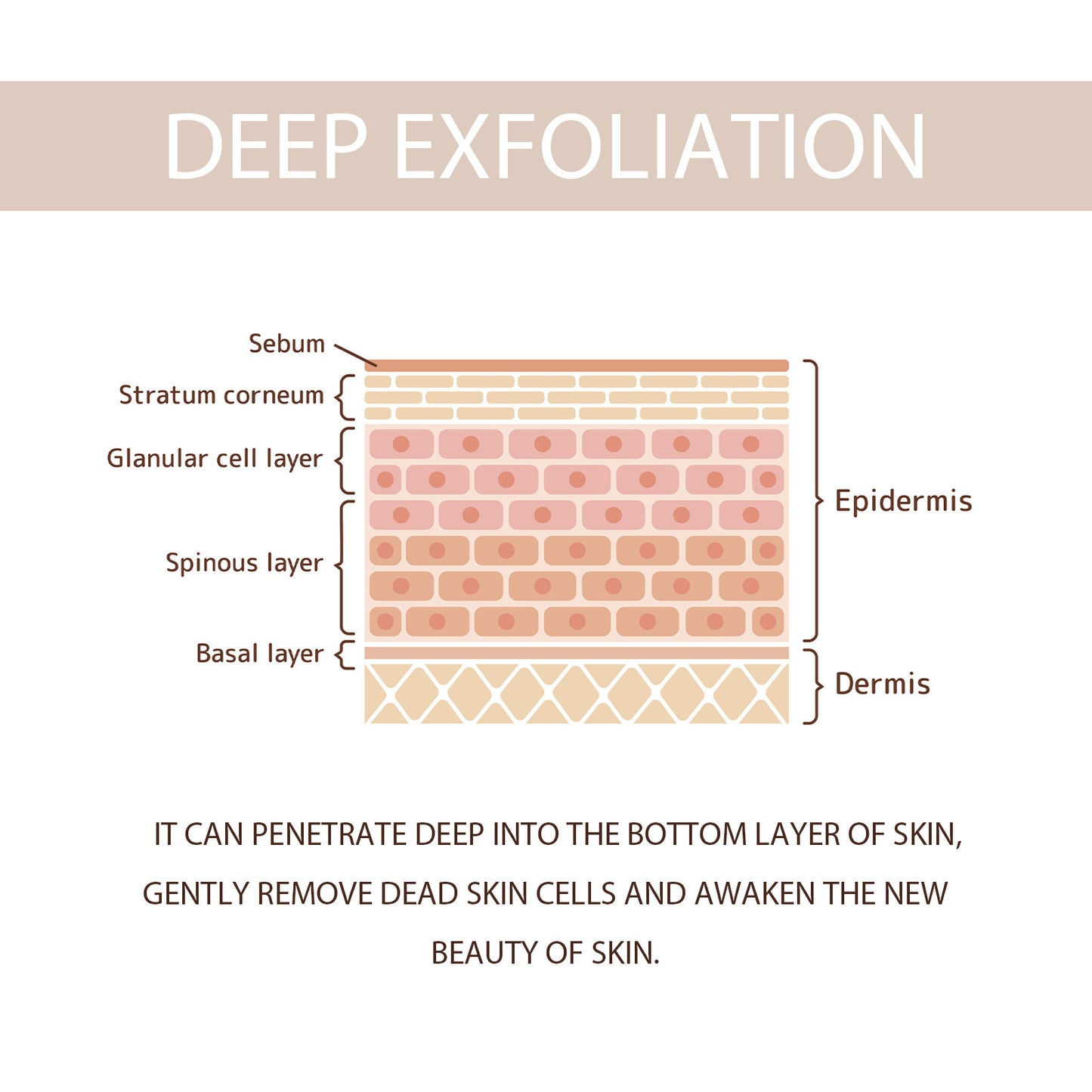 Exfoliating Gel Gently Cleans And Shrinks Pores