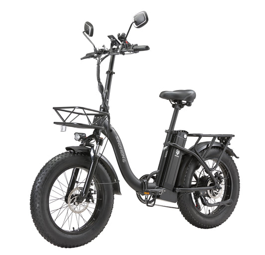 Ebike, 750W Motor, 48V15Ah Battery, 20 Inches, Maximum Speed 45KM