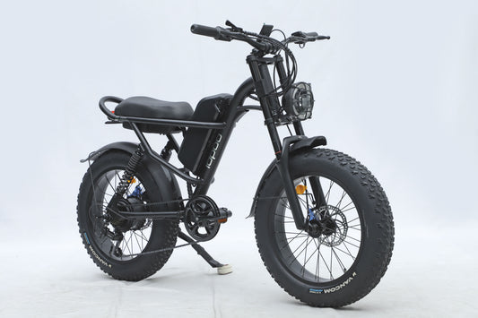 Ebike, 750W Motor, 48V15.6Ah Battery, 20 Inches, Maximum Speed 45KM