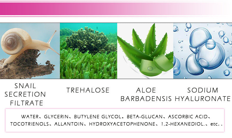 Modèle transfrontalier de sérum d'escargot à la vitamine C RtopR RtopR011